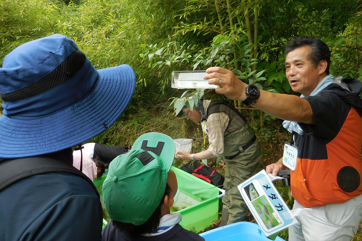 古鷹山ビオトープ自然観察会：採集した生き物の仕分け