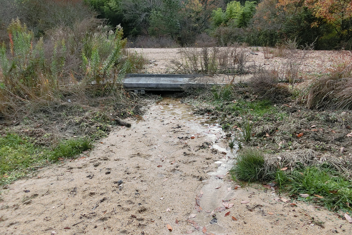 古鷹山ビオトープ自然観察会：豪雨の影響で山から土砂が流入してビオトープ池が埋まり、池の下流側の法面が崩壊してしまいました。